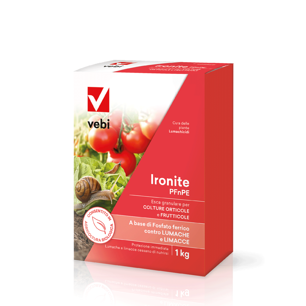 IRONITE PFnPE GR box 1 kg EN