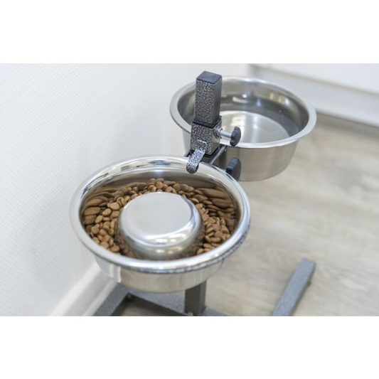 BAR CIOTOLE per CANI