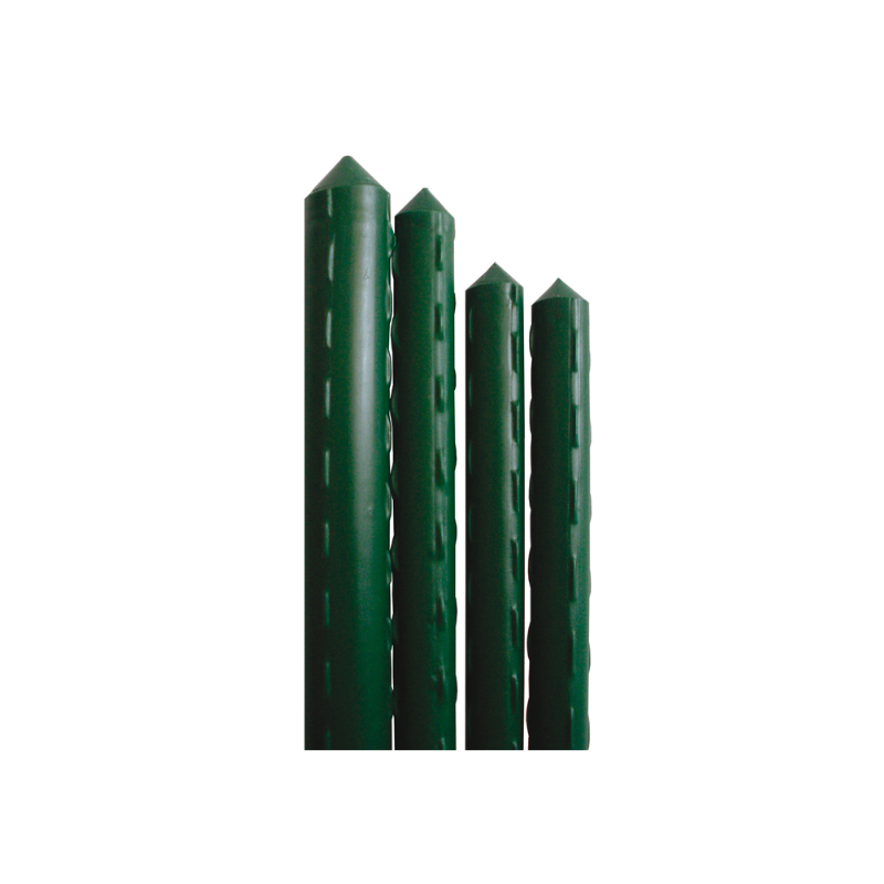 PLANT SUPPORT CANE MM.11XCM.120H