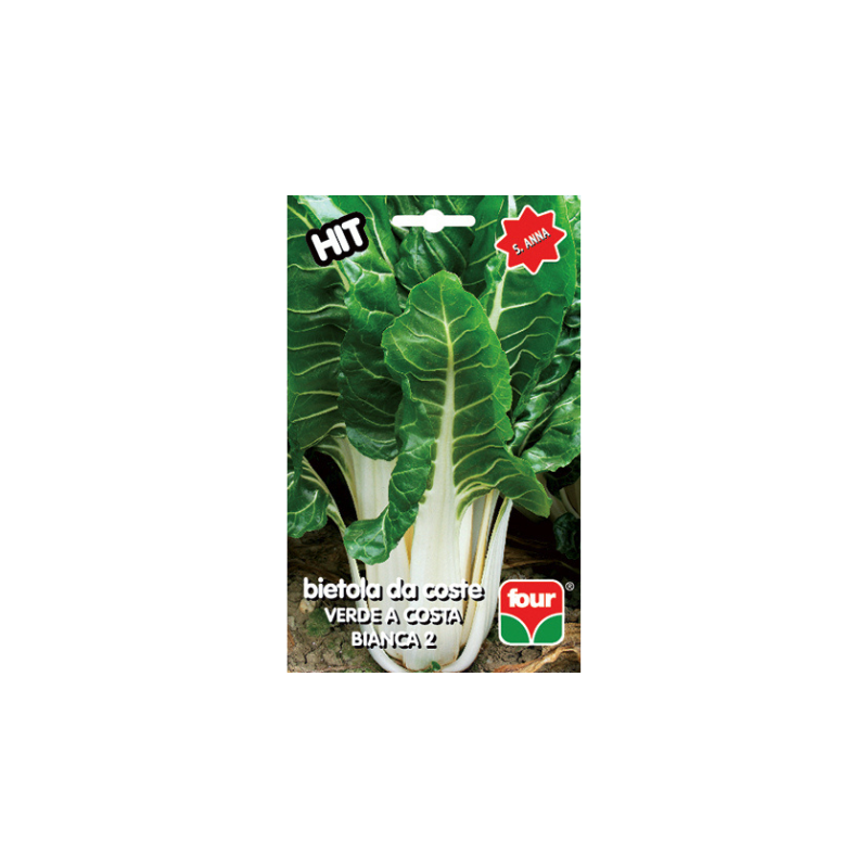 FH BIETA VERDE COSTA BIANCA 2