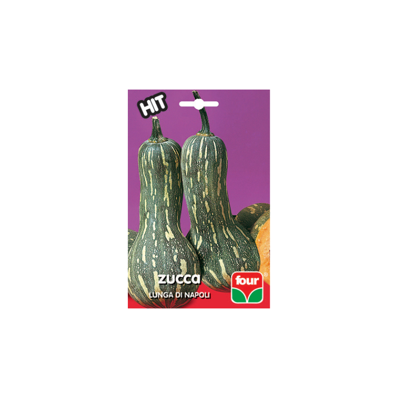 FH ZUCCA LUNGA DI NAPOLI