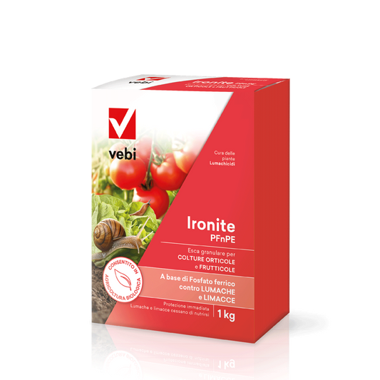 IRONITE PFnPE GR box 1 kg IT