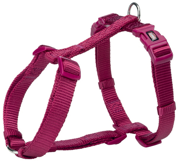 PREMIUM PETTORINA AD H - CICLAMINO