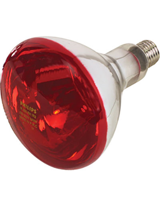 INFRARED LAMP FOR REFLECTOR 150 Watt - Red Color