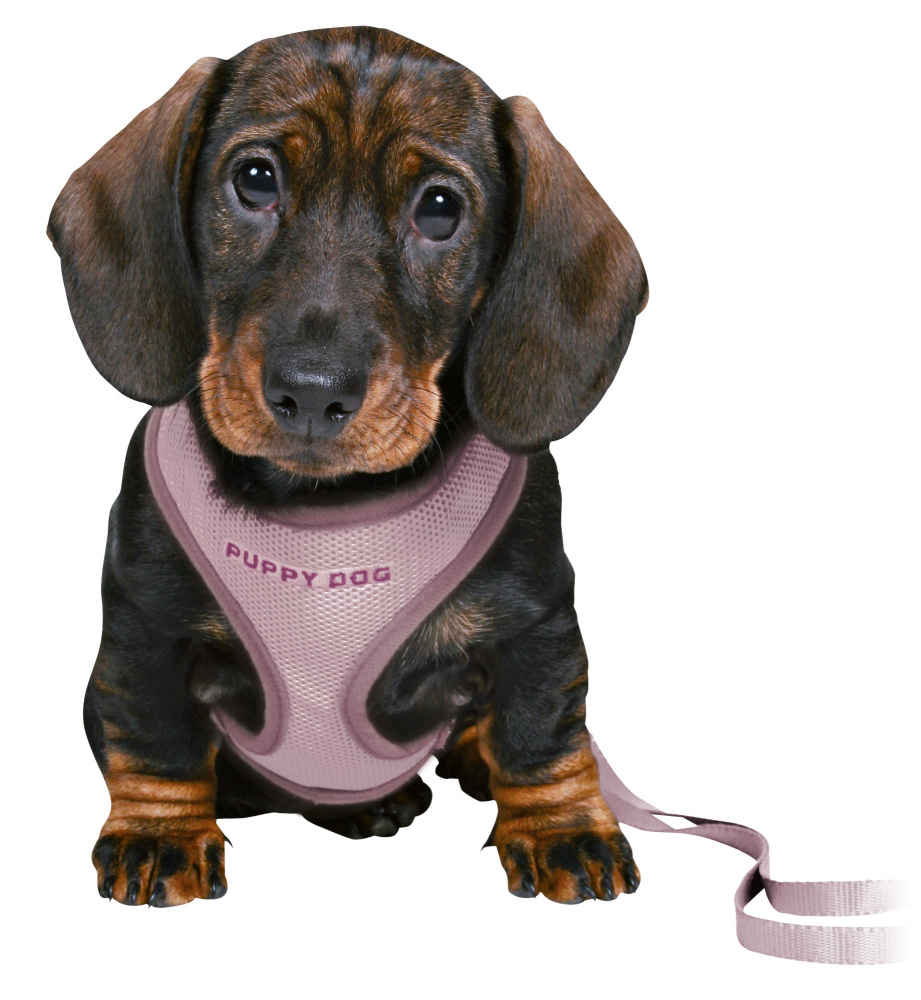JUNIOR PETTORIA MORBIDA PER CUCCIOLI CON GUINZAGLIO S-M LILLA CHIA