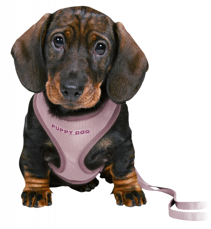 JUNIOR PETTORIA MORBIDA PER CUCCIOLI CON GUINZAGLIO S-M LILLA CHIA