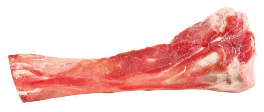 SNACK OSSO DI TIBIA DI MAIALE 17cm/200GR