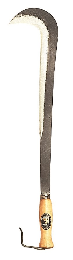 RONCOLA FRATTAROLA 50 cm