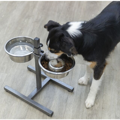 BAR CIOTOLE per CANI
