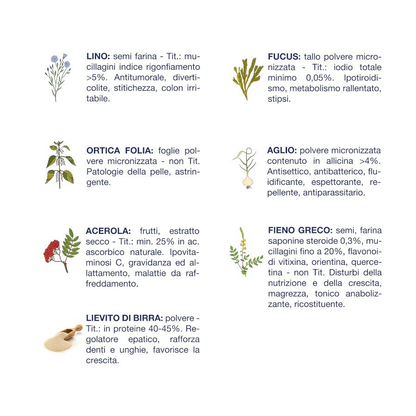 VET LINE ACCRESCIMENTO LD AGNELLO 3 KG
