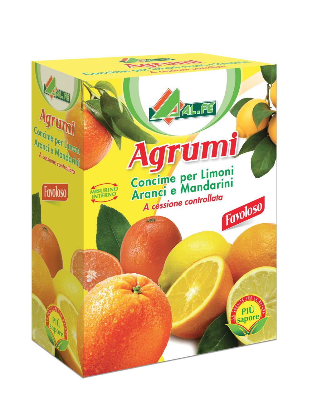 CITRUS FRUIT BOX 1 kg