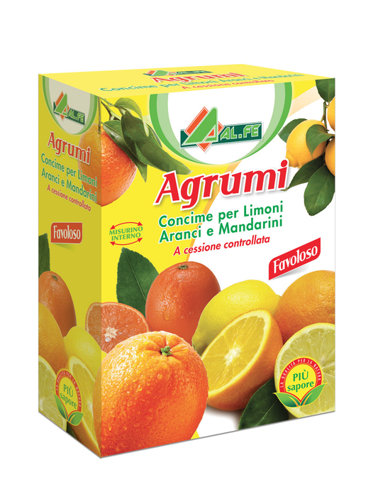 CITRUS FRUIT BOX 1 kg