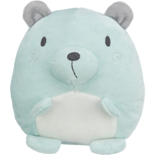JUNIOR ORSETTO