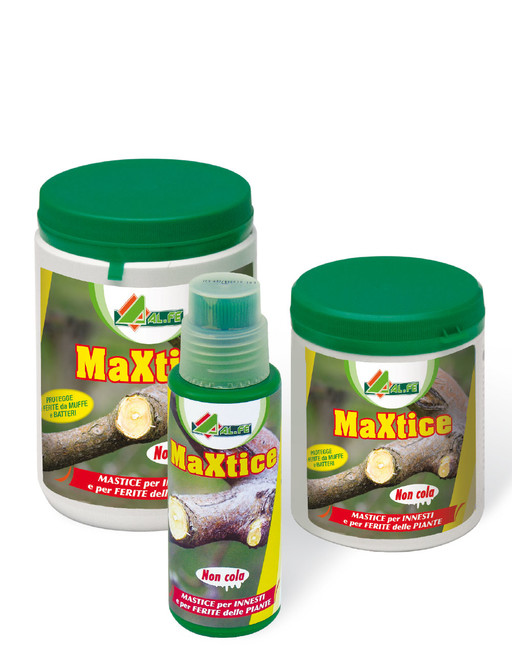 MASTIC JAR WITHOUT BRUSH 250 GR