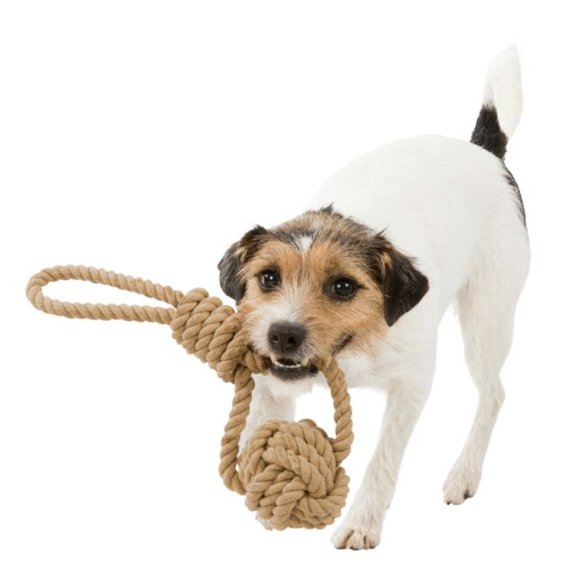 BE NORDIC ROPE TOY w/BALL