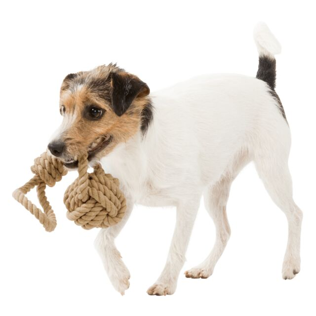 BE NORDIC ROPE TOY w/BALL