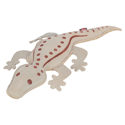 n-SALAMANDER