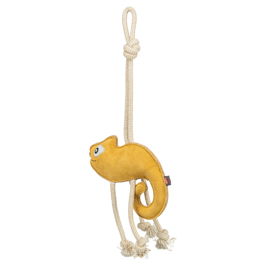 n-CHAMELEON
