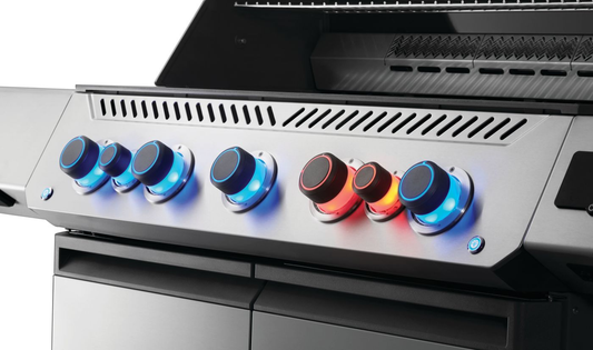 NAPOLEON PRESTIGE 665 DIGITALE INOX