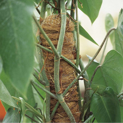 MOSS PLANT STAKE D.32 H100cm