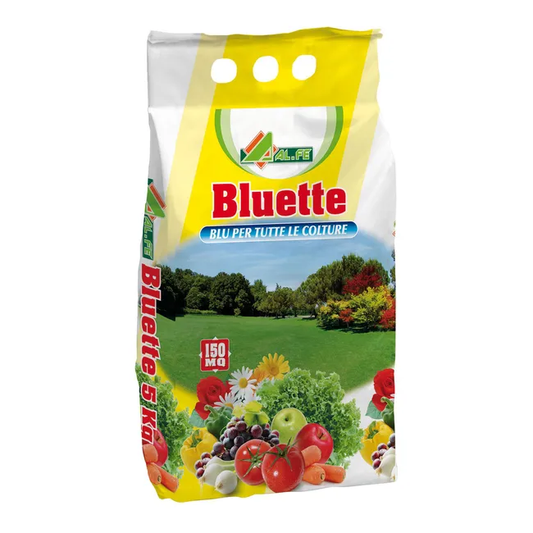 BLUE CHEESE IN CARTON Kg.5