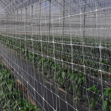 RETE SOSTENGREEN H200 RT ML 10