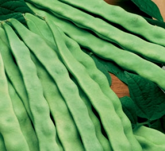 FAGIOLO RAMPICANTE SUPERMARCONI 100G