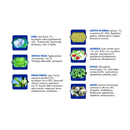 VET LINE ADULT MONOPROTEIN BUFFALO 3 KG
