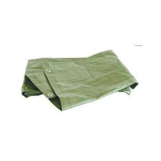 LIGHT TARPAULIN WITH EYELETS 8X10 M