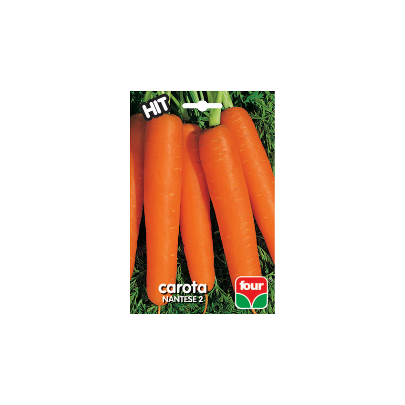FH CAROTA NANTESE 2