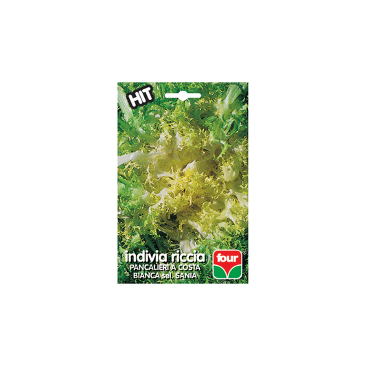 INDIVIA RICCIA PANCALIERI A COSTA BIANCA DEL. SANIAC