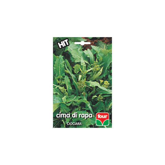 CIMA DI RAPA CIOCIARA