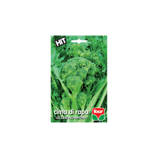 CIMA DI RAPA LECCESE NOVANTINA