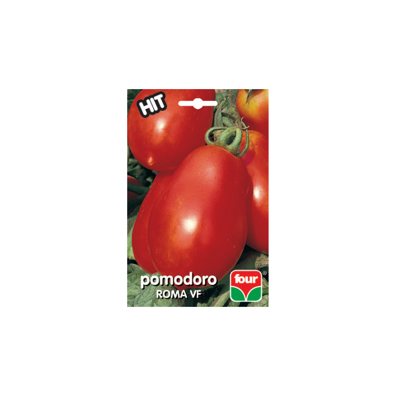 POMODORO ROMA VF