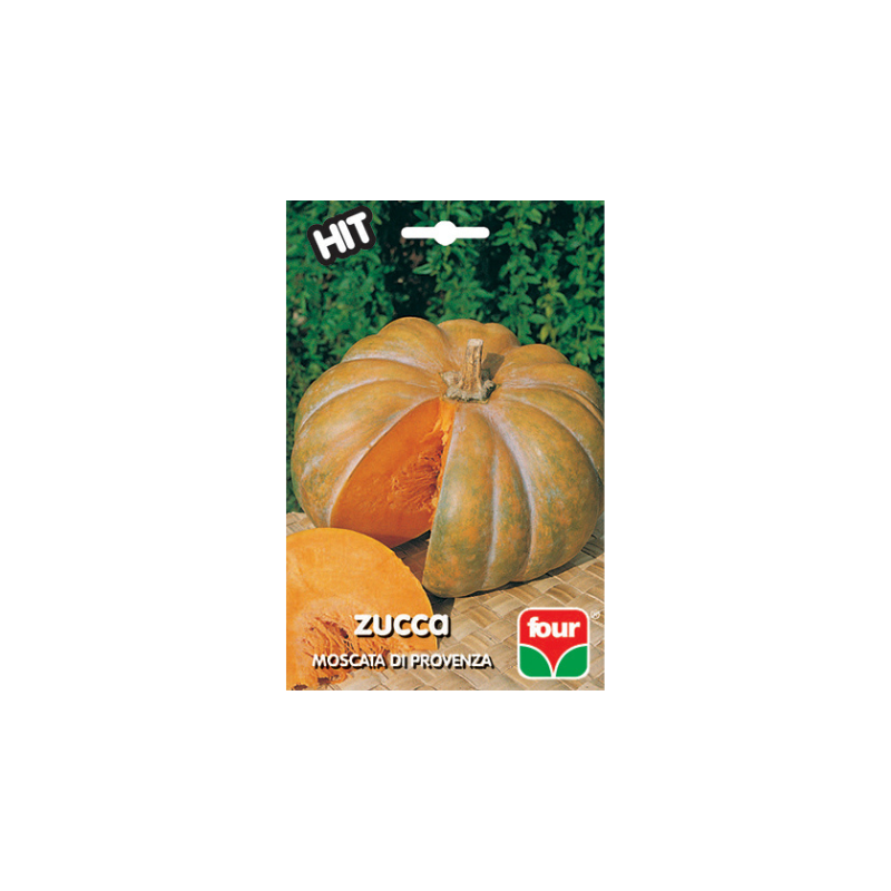 FH ZUCCA MOSCATA DI PROVENZA