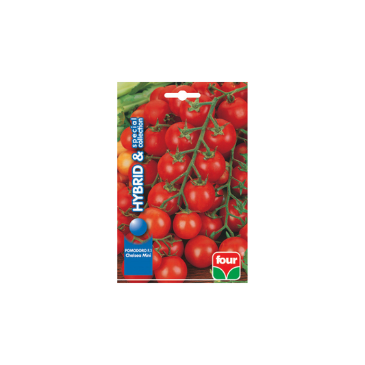 POMODORO F1 CHELSEA MINI (TIPO PACHINO ALTO)
