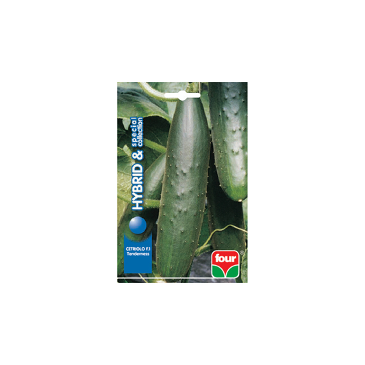 CETRIOLO F.1 TENDERNESS