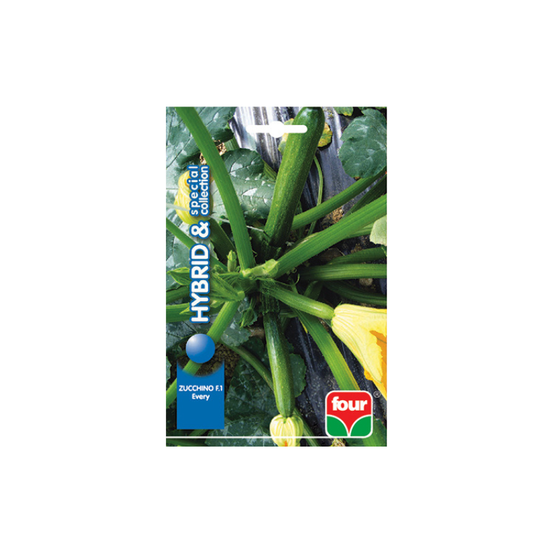 ZUCCHINO EVERY F.1