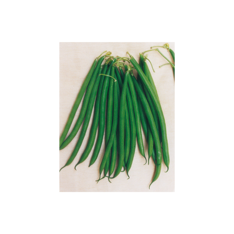 FAG.NANO VALDARNO 250g
